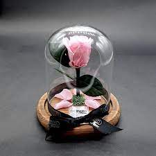 Diy Mini Glass Dome With Preserved Rose Set