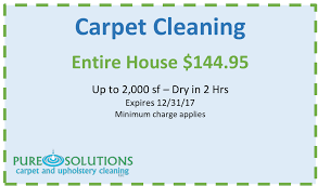 winter carpet cleaning specials