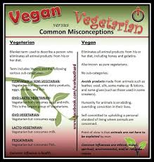 Vegan Vs Vegetarian Misconceptions Vegan Dishes