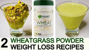 wheatgr powder for weight loss