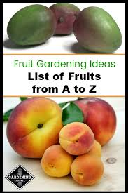 Life's better when you eat real food. List Of Fruits From A To Z Gardening Channel
