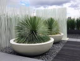 lily bowl urbis design contemporary