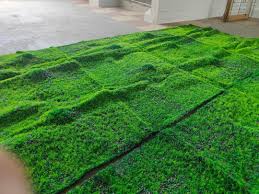 realistic moss carpet plant carpet