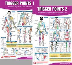 Trigger Points Massage Therapy Fitness Anatomy 2 Poster Wall