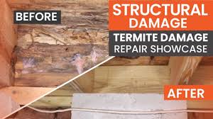 termite damage foundation repair