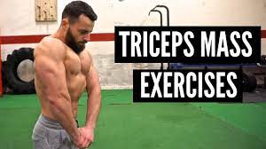 how to build mive triceps at home