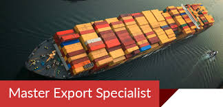 Demonstrate the ability to adjust to variable tasks in order to meet efficiency. Master Export Specialist Mes Course