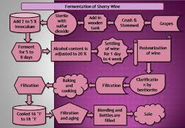 Sherry Wine Fermentation General Microscience