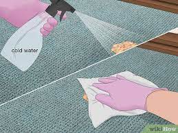 wikihow com images thumb 0 02 clean pet vomit