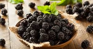 What  Berry  looks  like  a  Blackberry?