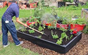 Recycled Plastic Raised Beds Are