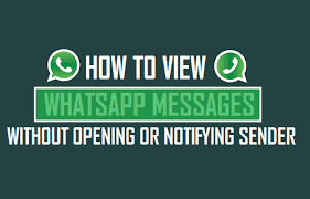 how to read whatsapp messages without