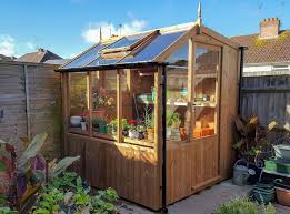Swallow Jay 6x6 Wooden Potting Shed
