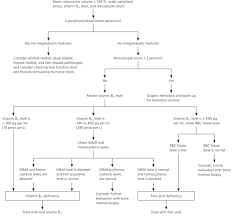 Evaluation Of Macrocytosis American Family Physician