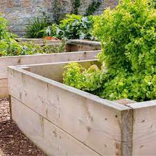 Wood Thickness For Raised Garden Beds