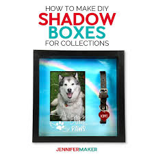 diy shadow bo for collections pets