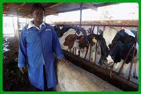 Top 10 Best Dairy Farm In Nakuru gambar png