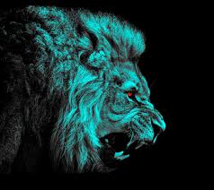 lion hd wallpaper