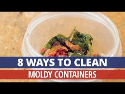 How To Clean Moldy Containers Rainbow