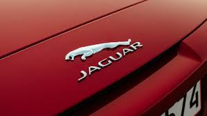 jaguar f type logo free stock photo