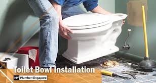 Toilet Bowl Installation Replacement
