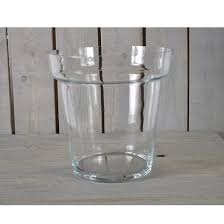 Large Glass Clear Flower Pot Plant