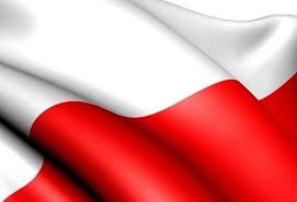Znalezione obrazy dla zapytania flaga polski rysunek