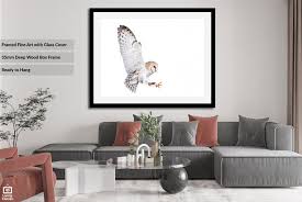 Flight Of The Owl Fine Art Wildlife