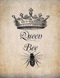 queen bee hd wallpapers pxfuel