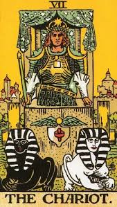 We did not find results for: The Chariot Tarot Card Meanings Mystical Bee