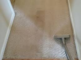 carpet cleaning services in greenville