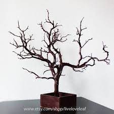 Brown Painted Manzanita Jewelry Tree