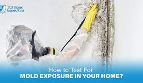 how to test for mold exposure in your home