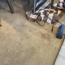 carpet cleaning near pine valley
