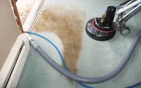 professional carpet dry cleaning