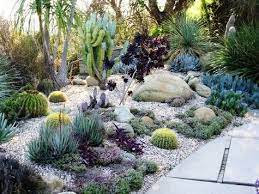 Modern Succulent Garden Rock Garden