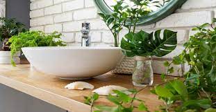 Top 15 Bathroom Plants For Your Home