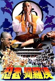 تدور أحداث الفيلم عن راهب مشهور من معبد شاولين يخوض معركةٍ دموية مع الشياطين ، في محاولة إنقاذ الأشخاص العاديين! What Is My Movie Shaolin
