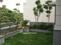 Terrace Garden In Delhi Delhi India