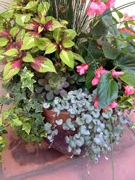 Beautiful Container Gardens For Shady Spots