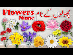 flowers name and pictures in urdu
