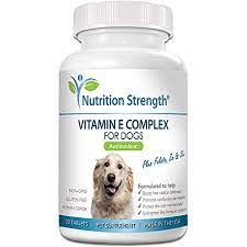 However, like humans, some also need help to ensure that their diet contains enough vitamins. Amazon Com Nutrition Strength Vitamin E For Dogs Promote Cardiovascular Health Support Cell Membranes Vitamin E Complex To Boost Dog Immune System Plus Zinc Selenium Folate Salmon Oil 120 Chewable Tablets Health