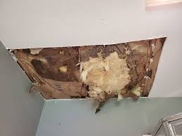 How To Safely Dispose Of Drywall With