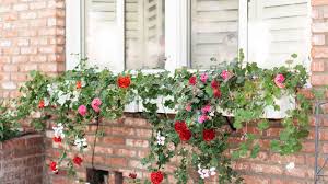 Diy window sill planter box. 9 Diy Window Box Ideas For Your Home