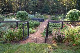 quarter acre garden plans 2020 the