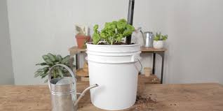 Maybe you would like to learn more about one of these? Self Watering Container Better Homes Gardens