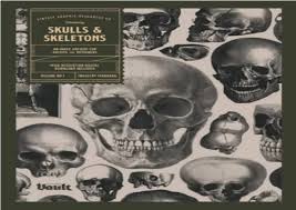 ppt pdf skulls and skeletons an
