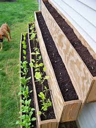 Grow A Small Vegetable Garden