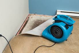 flood with dehumidifiers air flow fans