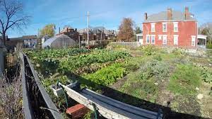 community gardens providing sustainable